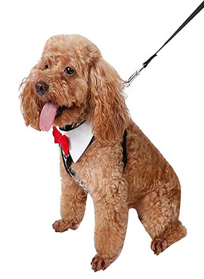 Nema NM Nema Fashion Bowknot Dog Vest Harness - Black - S - Image 4
